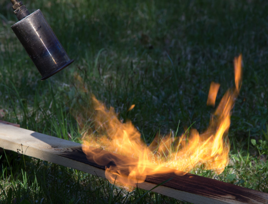 Charred wood