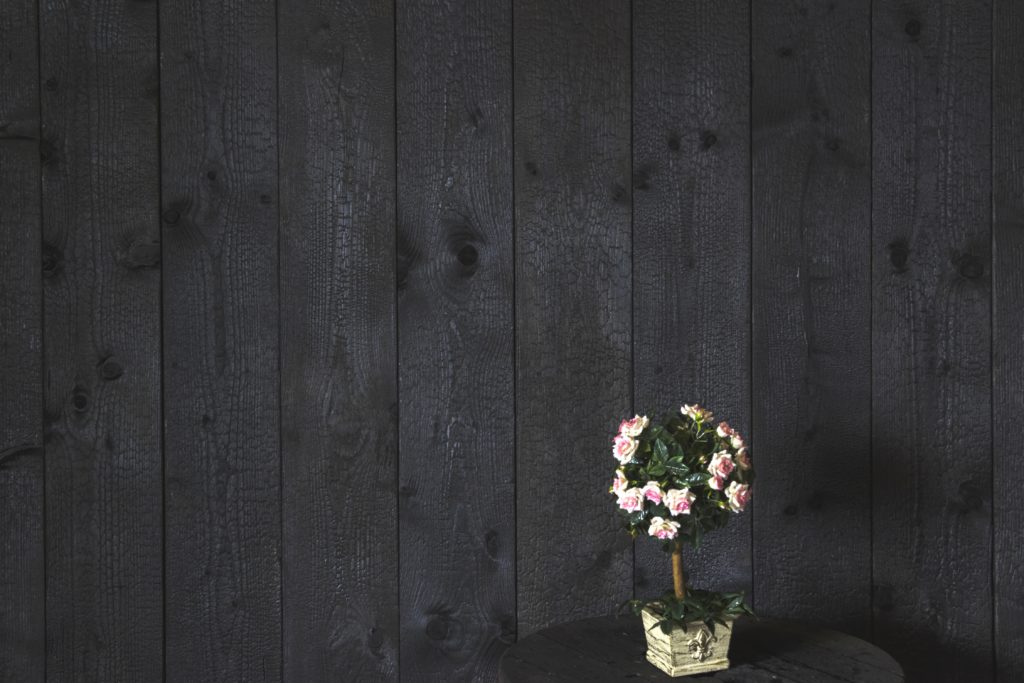 Charred wood - Crocodile