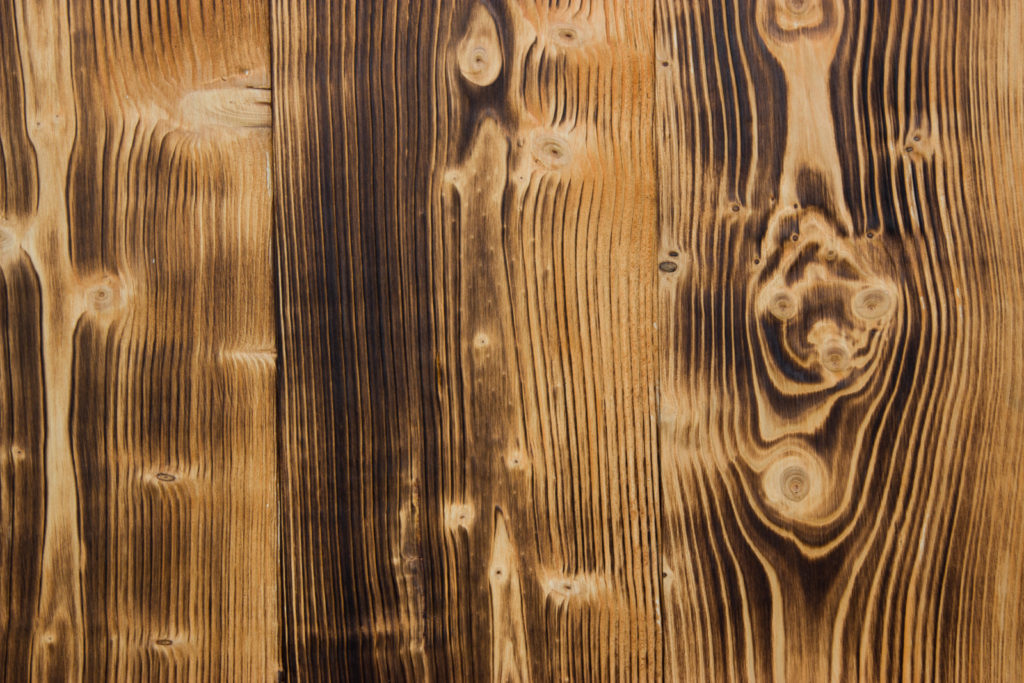 Charred wood - MEHIS