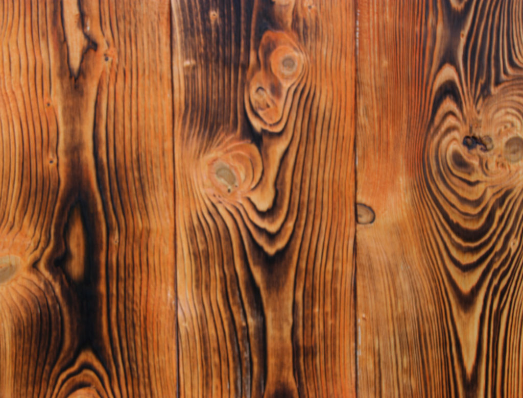 Charred Wood - ORMES