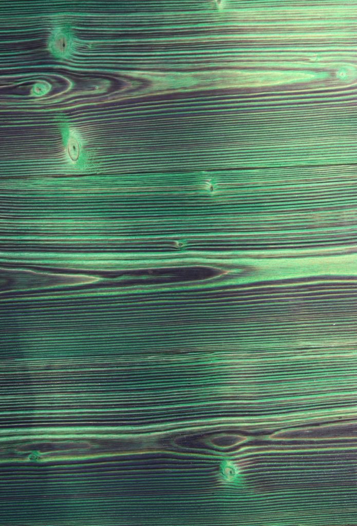 Charred wood - ROOMET